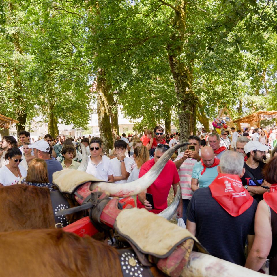 Reportaxe fotográfica da 60ª edición da Festa-Feira do Xamón