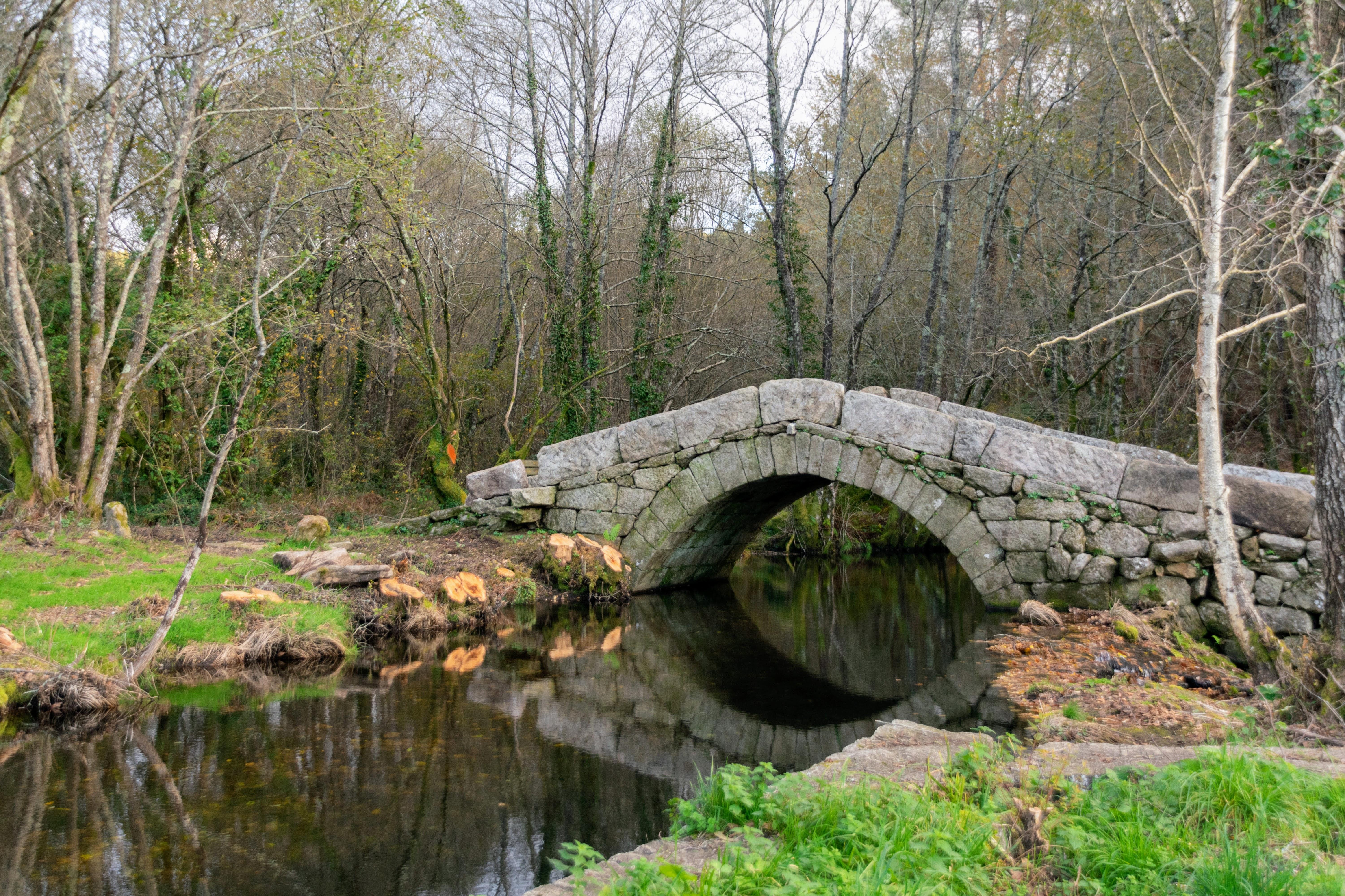 Visitamos a Ponte Medieval de Noceifas tras rematar os traballos de limpeza e recuperación da súa contorna