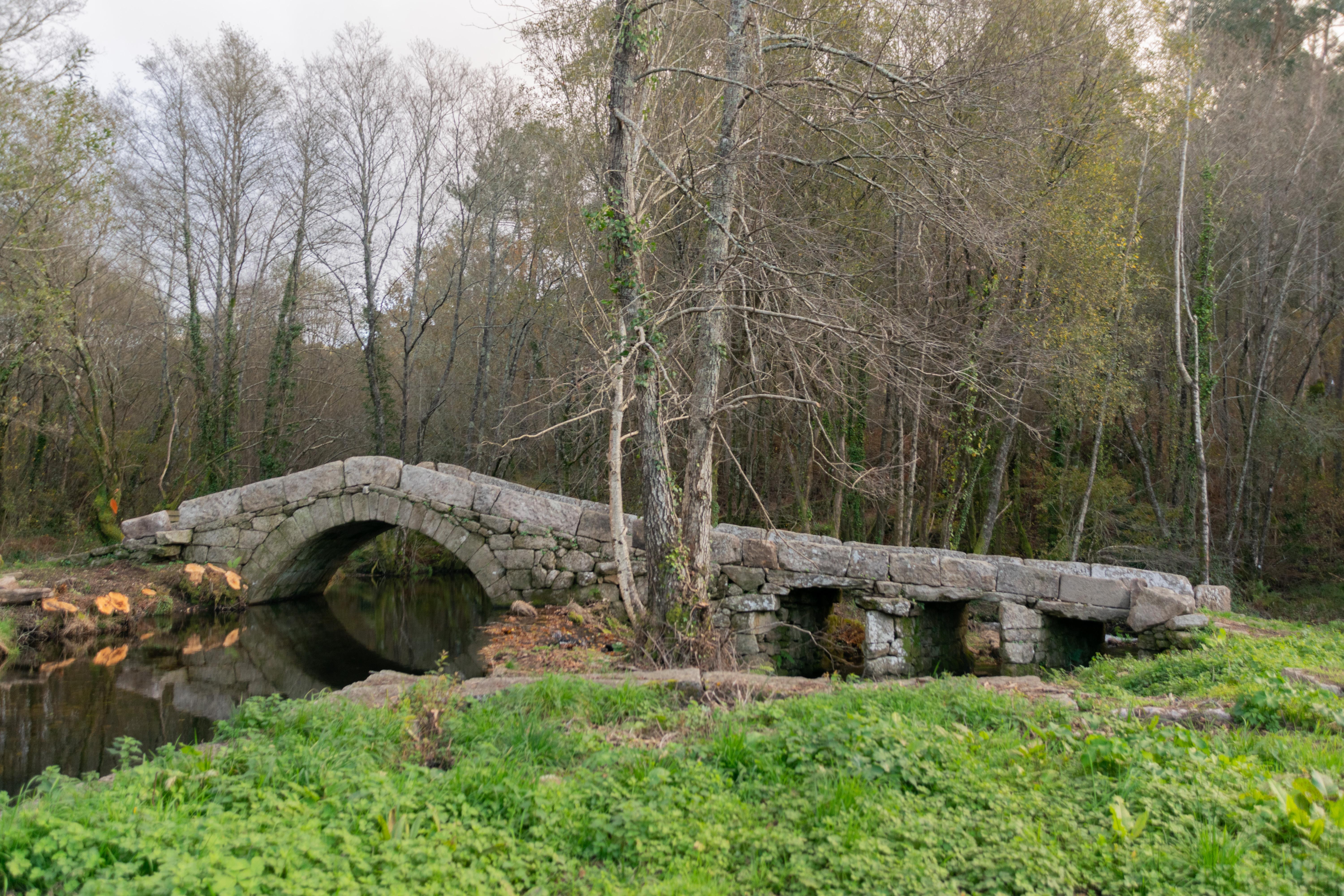 Visitamos a Ponte Medieval de Noceifas tras rematar os traballos de limpeza e recuperación da súa contorna