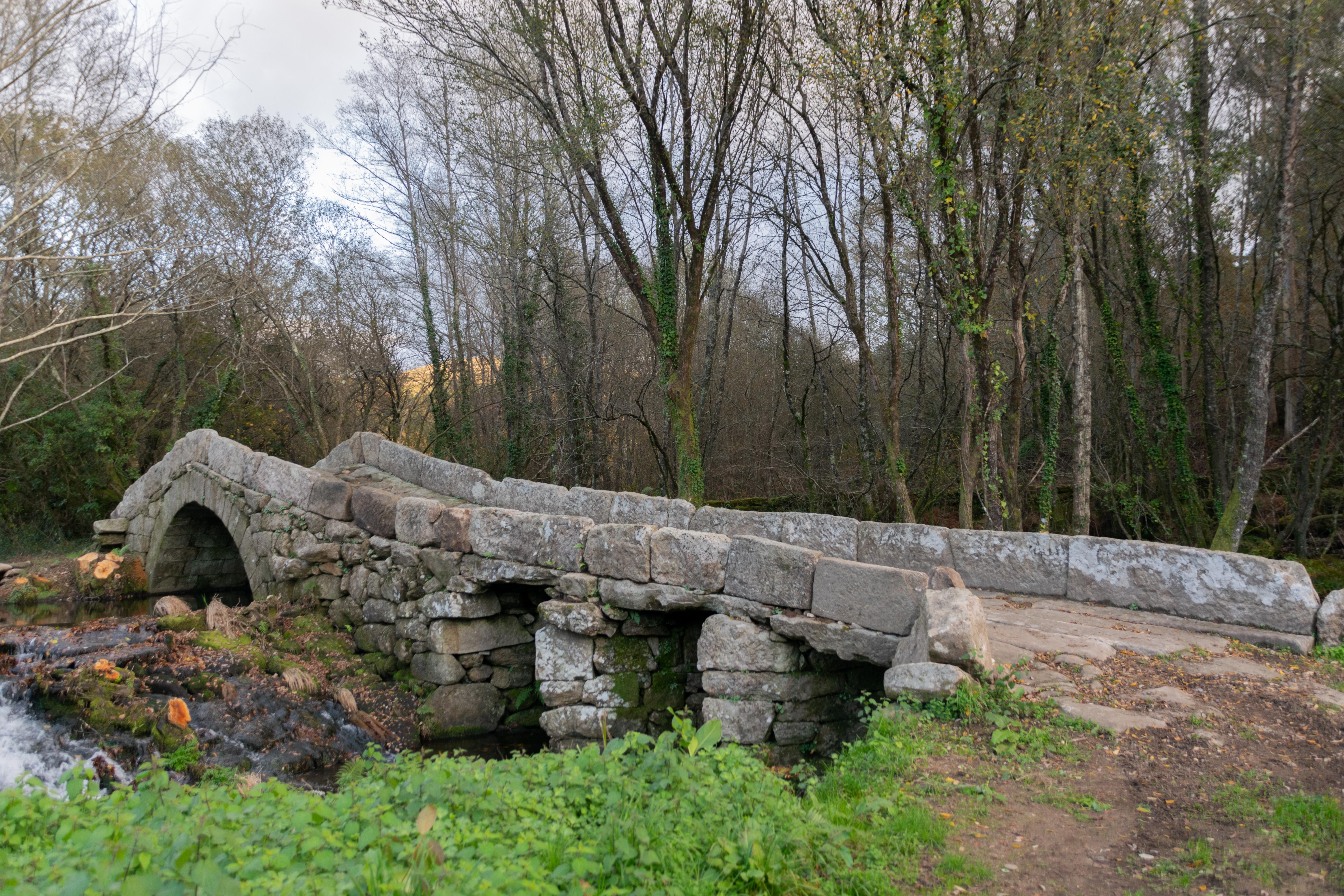 Visitamos a Ponte Medieval de Noceifas tras rematar os traballos de limpeza e recuperación da súa contorna