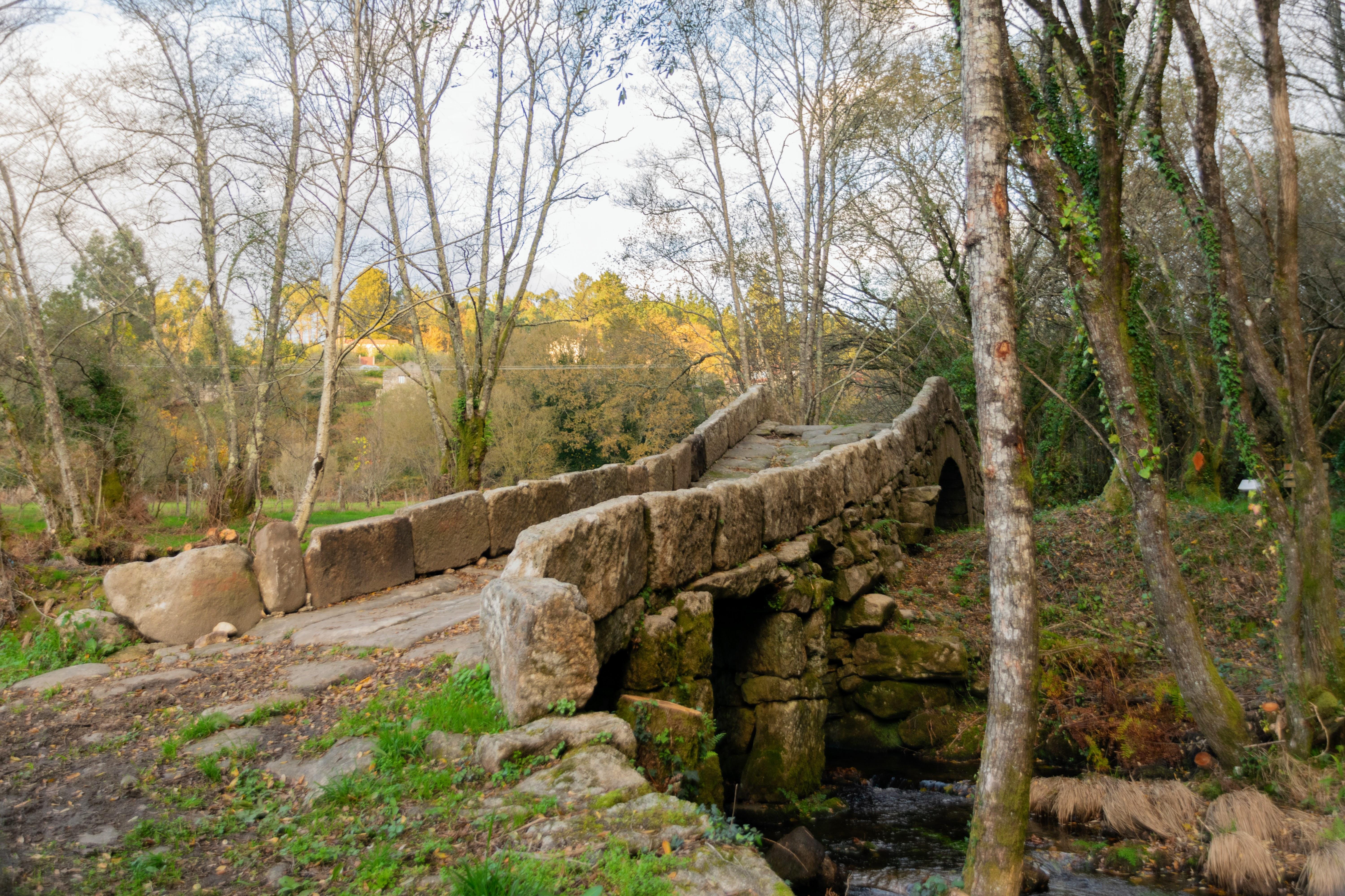 Visitamos a Ponte Medieval de Noceifas tras rematar os traballos de limpeza e recuperación da súa contorna