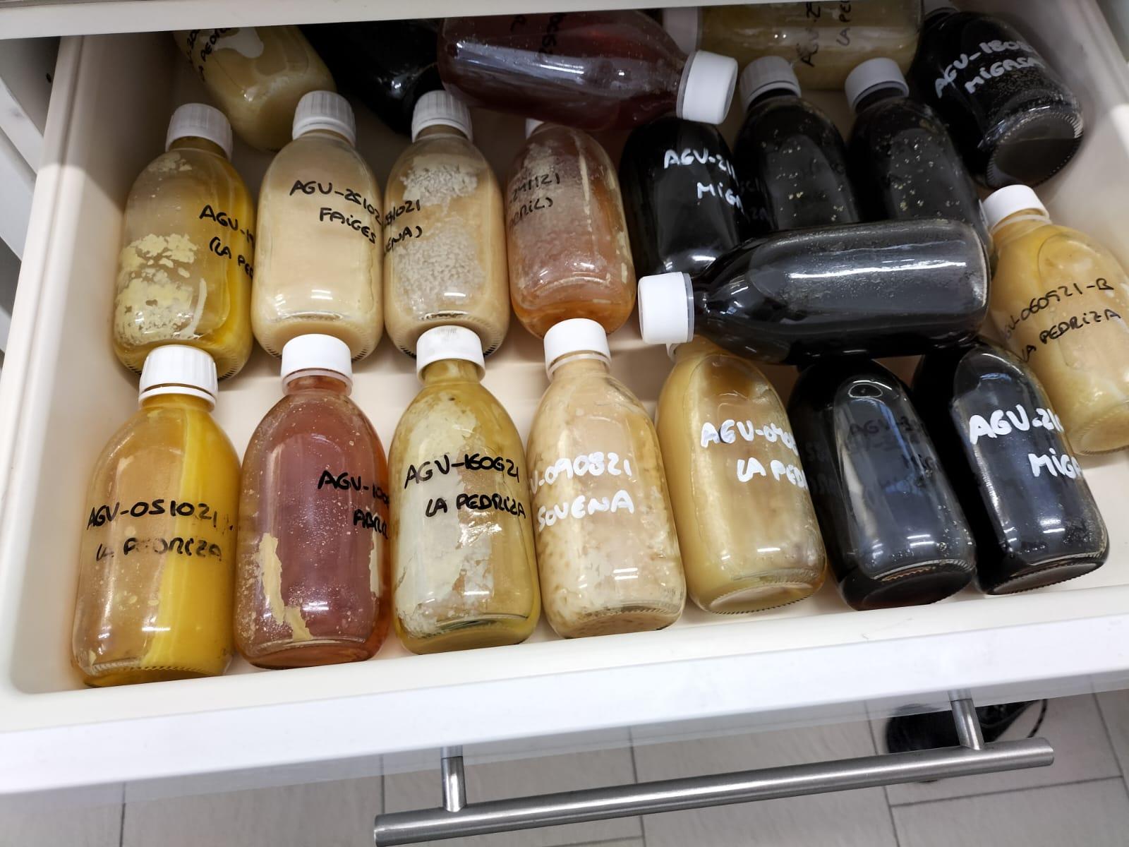 O Alcalde visita as instalacións da empresa “SMPV SL”, especializada na producción de ingredientes cosméticos