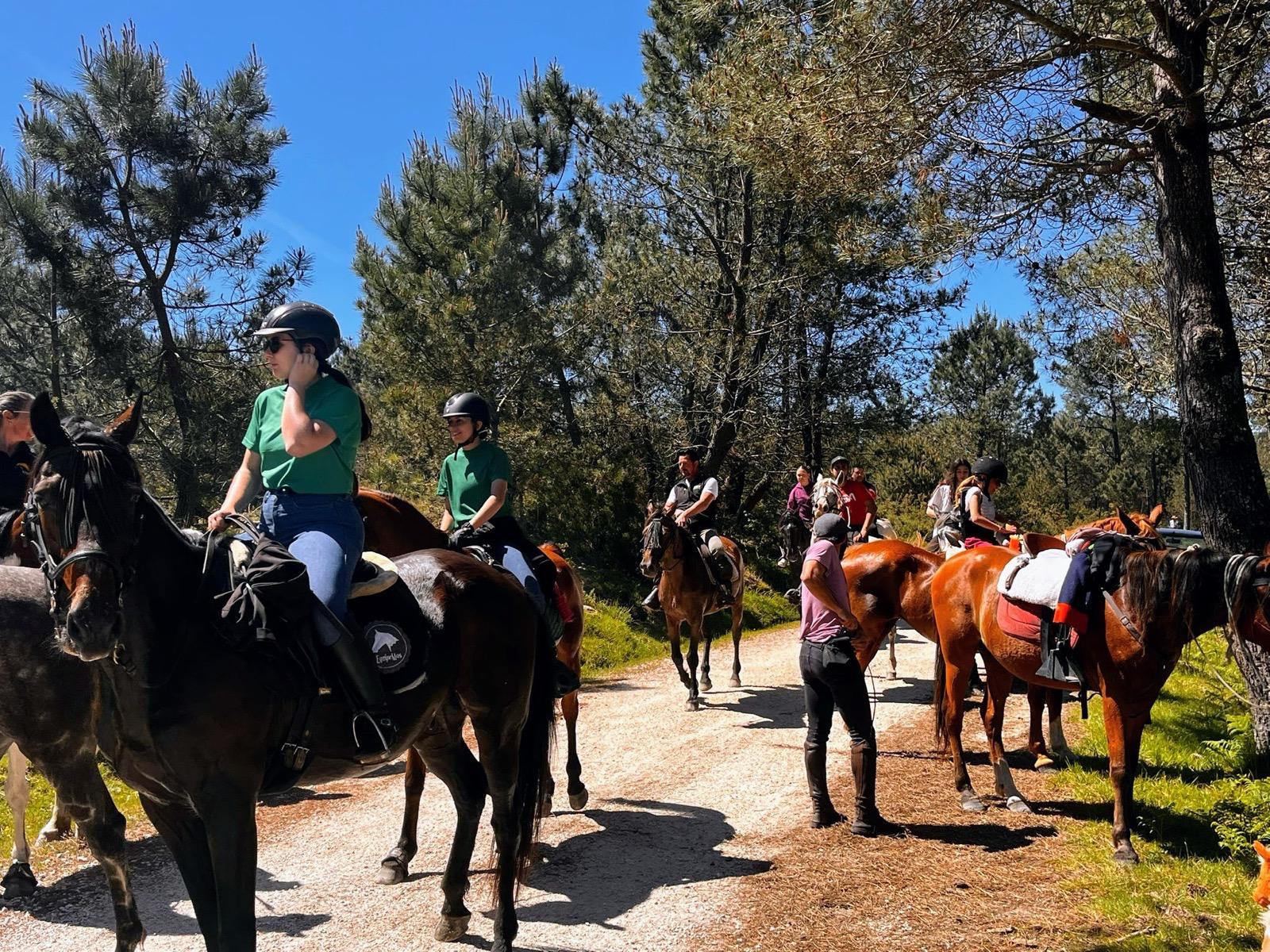 Presentamos a 31 edición do  «CURRO DO PEDROSO 2025» que volverá a celebrarse na Cañiza o domingo 10 de agosto