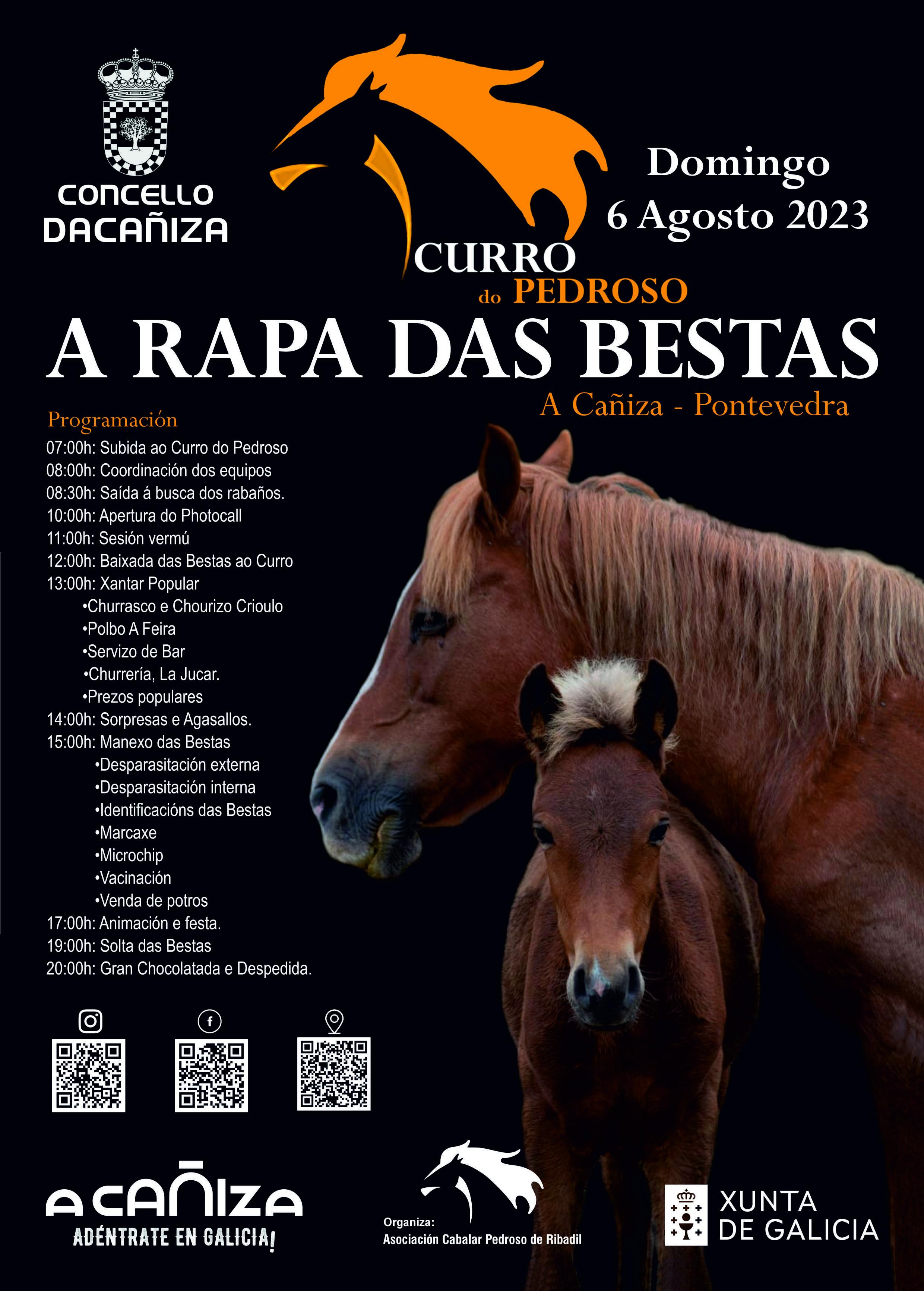 Curro do Pedroso - Rapa das Bestas 2023. A Cañiza 6 de agosto de 2023